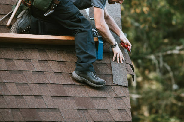 Roof Gutter Cleaning in Brookwood, AL